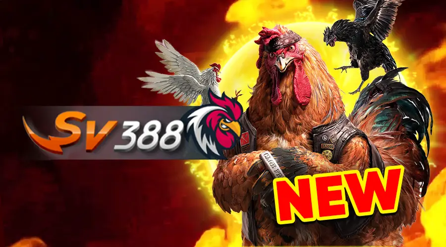 Sabung Ayam SV388 Games
